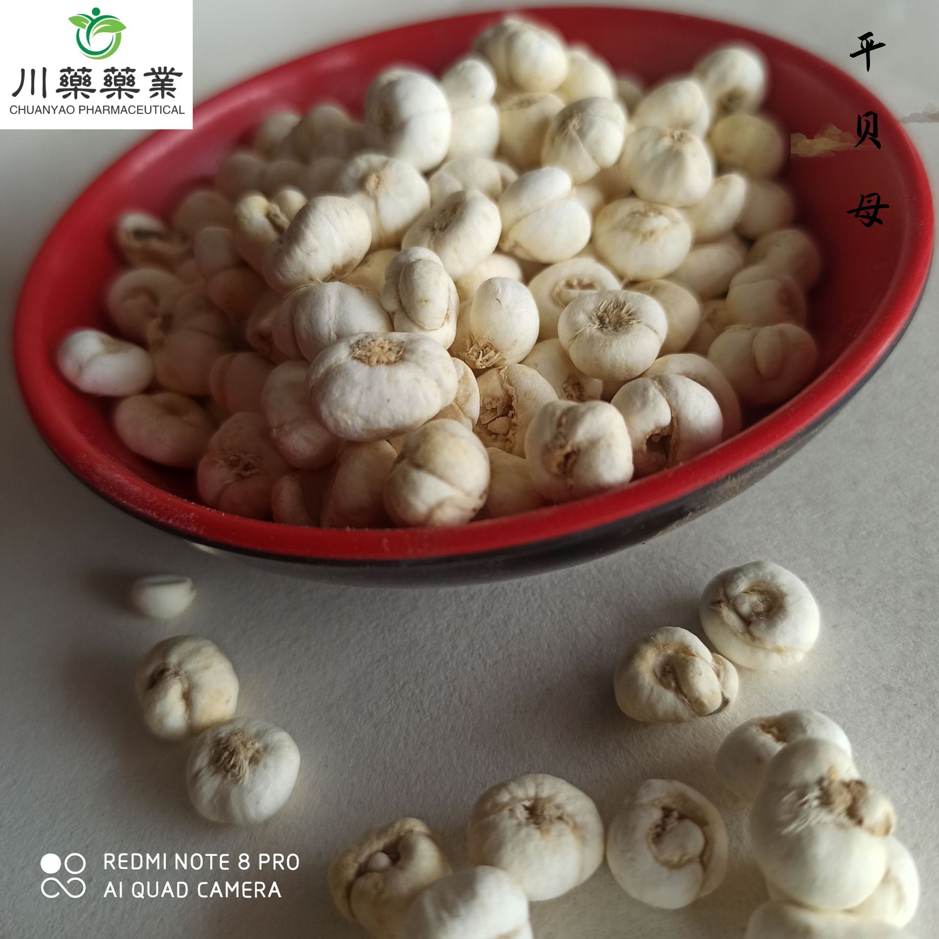 中药材 浙贝母 平贝母 贝母 新货 500g批发 【川药中药材】-阿里巴巴