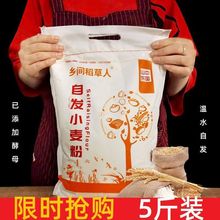 自发面粉5斤馒头粉油条发糕自发小麦粉家用中筋面粉500g