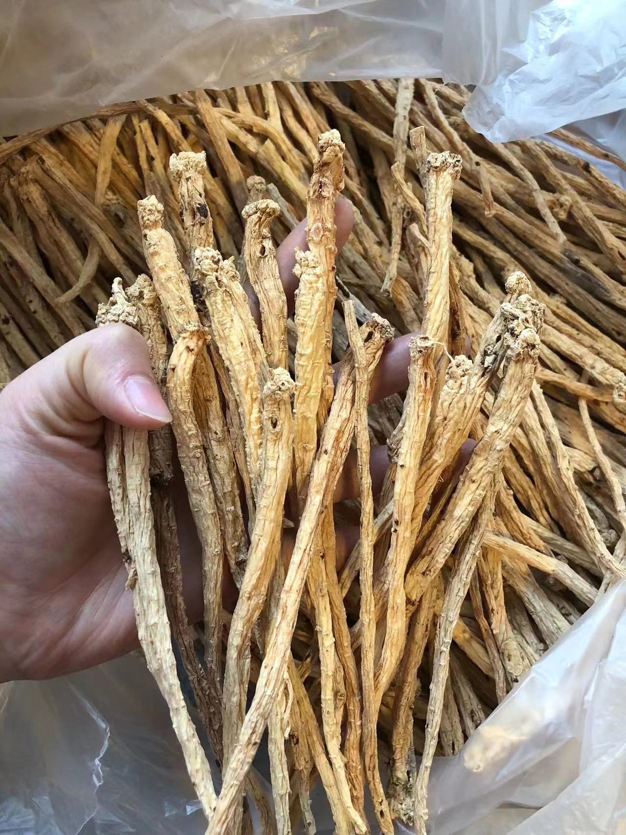 去绳黄党参干货250g党参片药材滋补无硫党参甘肃野生党参条批发