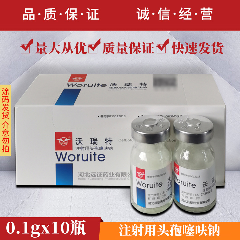 河北远征沃瑞特注射用头孢噻呋钠猪牛羊用高烧不退兽用药呼吸道病