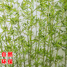 竹子室内装饰假竹子隔断屏风挡墙造景室外装饰竹盆栽绿植景观