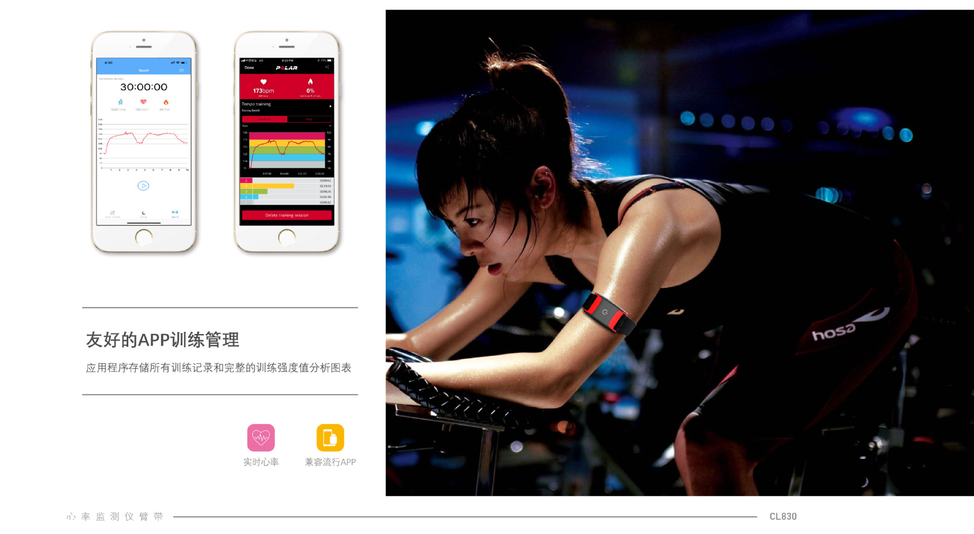 工厂定制cl830 蓝牙ant  智能手环 心率监测器智能运动心率带臂带