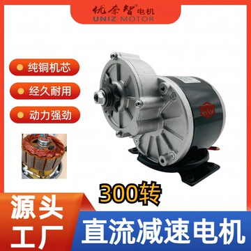 批发自行车改装电动车电机12v24v250w三轮车电机减速马达my1016