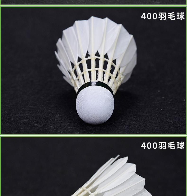 燕子羽毛球_03.jpg