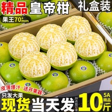 老树大果10斤广西皇帝柑新鲜水果现摘橘子当季礼盒整箱直销