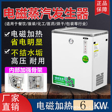 电磁蒸汽发生器380v220V三两相电热锅炉工业蒸汽机全自动电加磁热