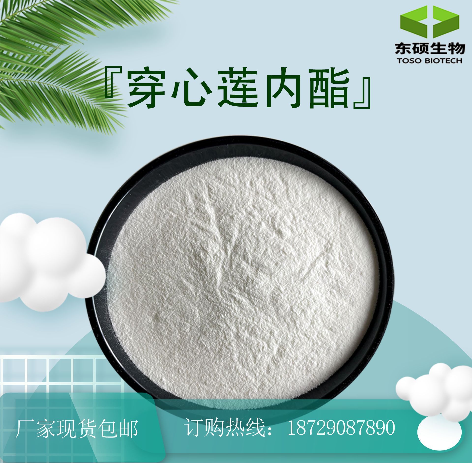 穿心莲内酯98穿心莲提取物现货供应穿心莲粉