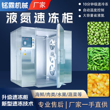 玉米豆类全自动速冻柜 毛豆荚小型低温速冻设备 豌豆急速冷冻机