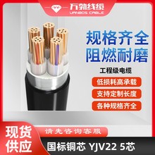 低压电力电缆YJV22 5芯聚氯乙烯护套无氧铜 国标工程电缆线