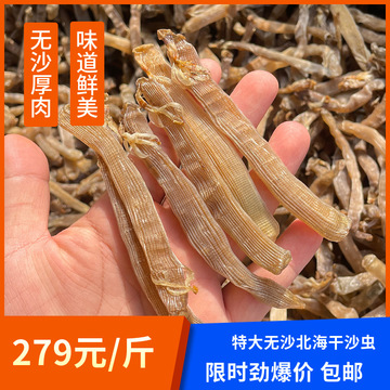 批发沙虫干货北海深海灰沙虫特大号250-300头一斤味道很鲜干沙虫