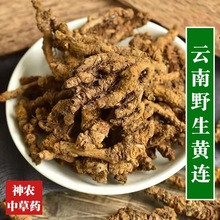 云南野生黄连500g精选特级无硫熏川黄连又名鸡爪连中草药