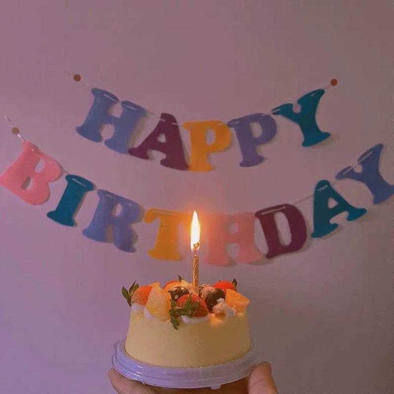 小红书同款生日快乐字母挂旗马卡龙色系happy birthday无纺布拉旗