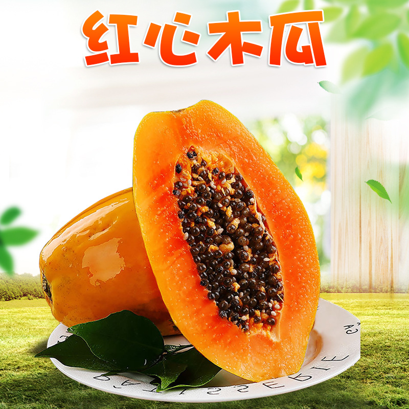 【严选】广西红心牛奶木瓜 代发2/9斤冰糖心万寿果新鲜水果番木瓜