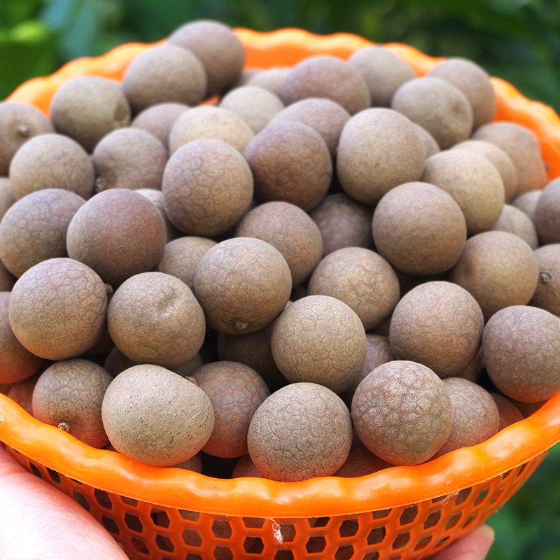 桂圆龙眼干广西博白特产新货肉厚干桂圆批发可搭配红枣枸杞茶