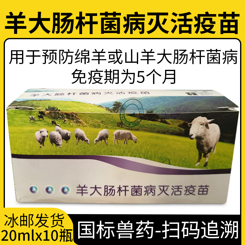 羊用疫苗哈药埃必应绵羊山羊大肠杆菌灭活疫苗羔羊痢疾腹泻拉稀