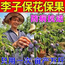 李子保花保果药防落果树坐灵强力授粉沾花防裂果膨大素专用叶面肥