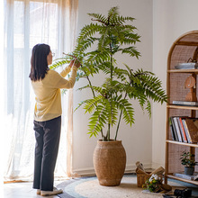 香椿树植物装饰大型假绿植盆景落地室内客厅假树摆件