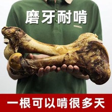 牛棒骨宠物零食狗磨牙棒中大型幼犬小狗耐咬洁齿骨训练奖励犬用