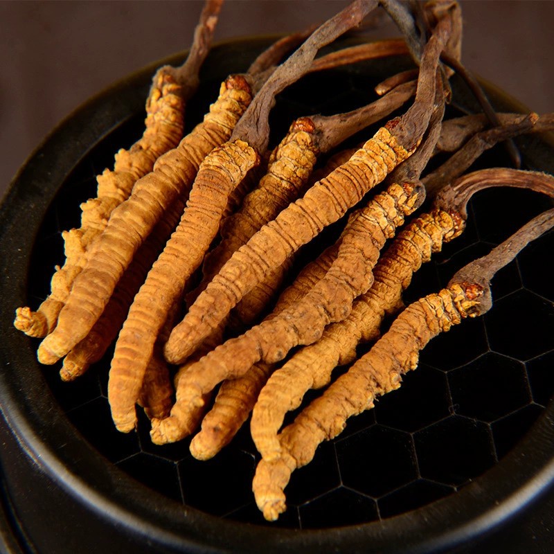 健滋道 西藏那曲冬虫夏草 冬虫夏草礼盒 冬虫夏草 新鲜虫草批发