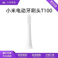 Xiaomi米家声波电动牙刷 T100刷头 全自动充电式防水情侣清洁软毛