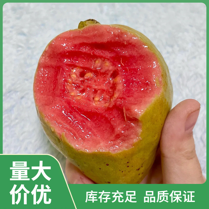 f福建漳州红心芭乐果5斤包邮软心糯台湾香番石榴饮品水果整箱新鲜