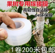 架接膜糯米纸嫁接树苗密封果树加厚自粘塑料月季接树包扎果农