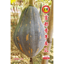 广东省香芋南瓜种子/苗 种籽孑苗种 食用小蔬菜高产四季板栗香甜