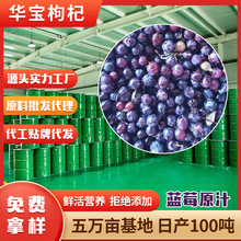宁夏华宝蓝莓原汁实力厂家产地原料大桶批发20kg/200kg每桶含税运