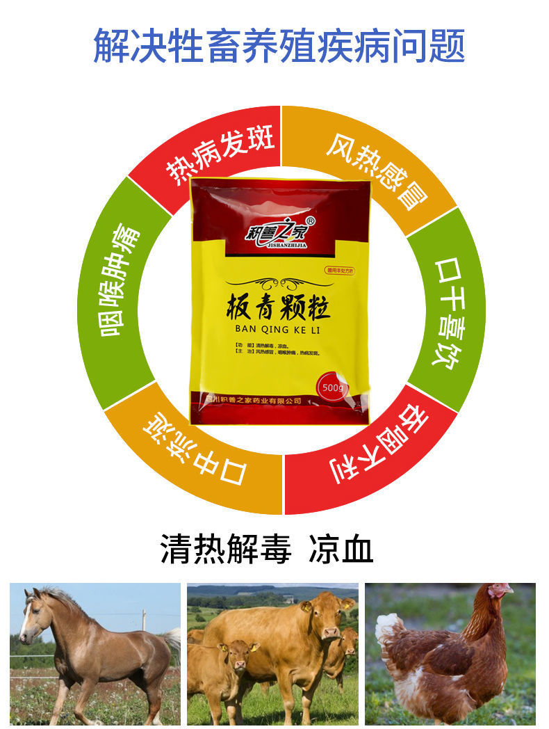 兽用板青颗粒板蓝根提取物猪牛羊鸡鸭感 冒鸡鸭鹅