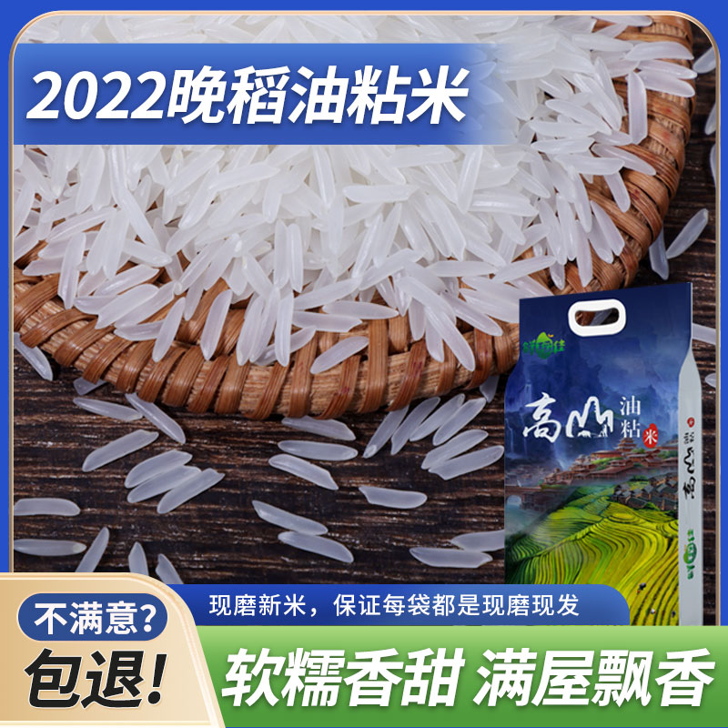 2023年新米长粒香大米丝苗米猫牙米泰国香米5kg 10kg油粘米煲仔饭