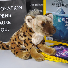 国家地理10.5"斑鬣狗毛绒玩具荒漠系列动物公仔礼品生日礼物