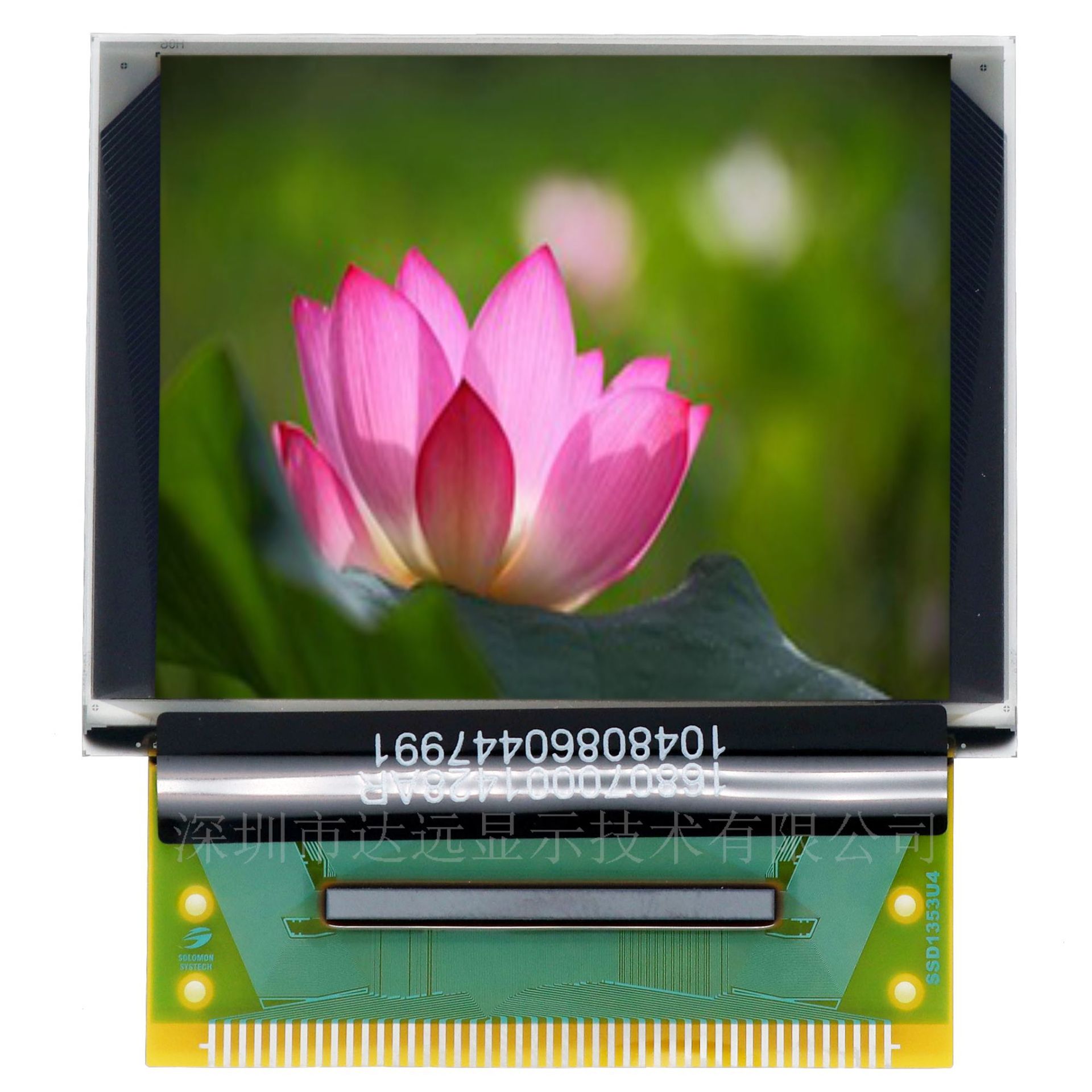 pmoled 1.77寸 分辨率 160×128 高质量全彩oled显示屏