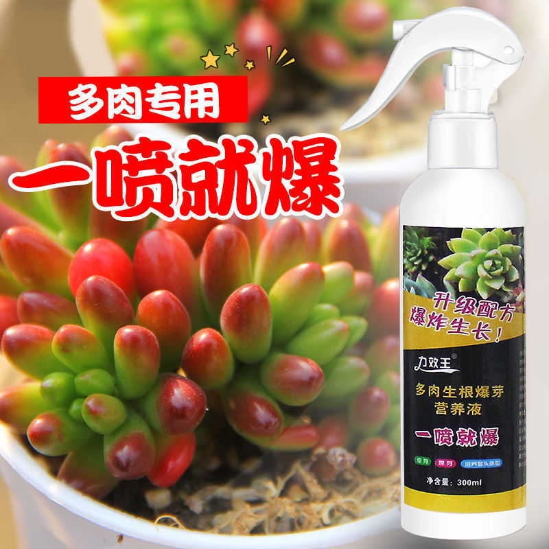 多肉优芽素多肉生根爆芽王多肉营养液分裂生根剂复合肥盆栽叶面肥