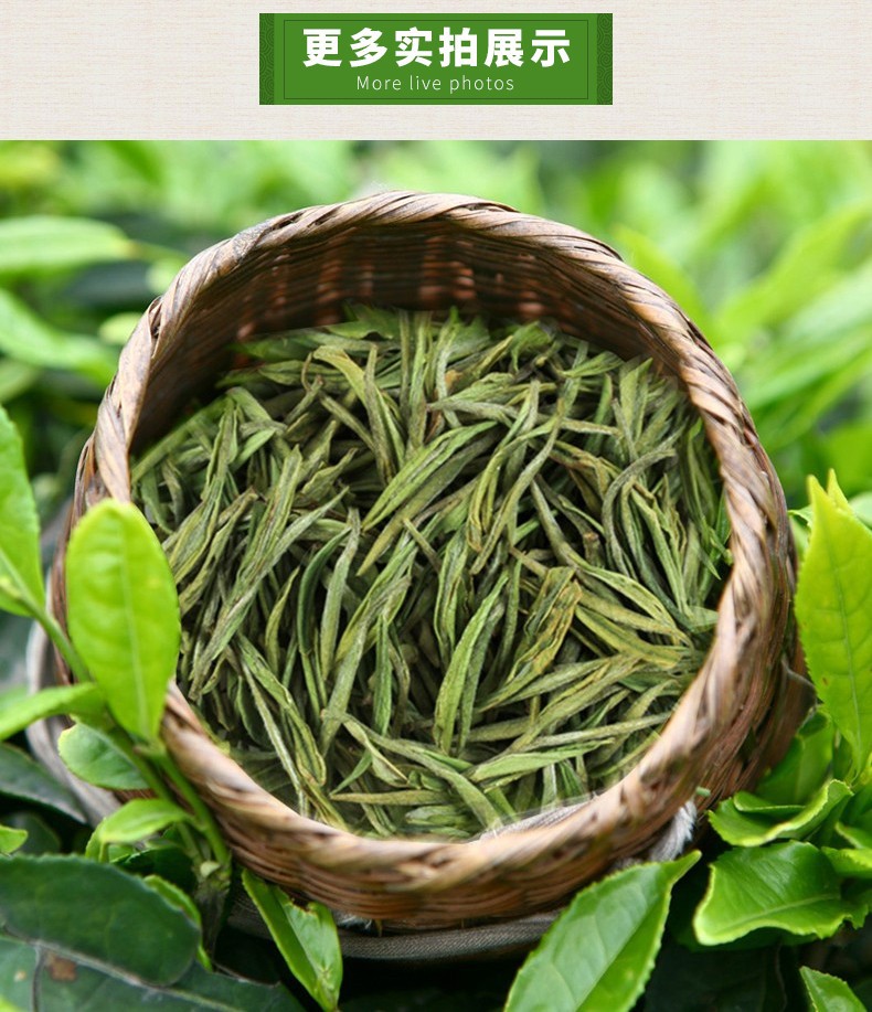 邑境 初见珍稀白茶叶嫩芽清香50g单罐