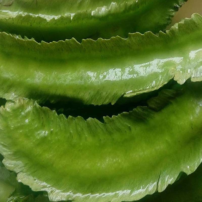 顺丰 海南四角豆新鲜特产2斤5斤嫩蔬菜现摘四棱豆龙豆皇帝豆包邮