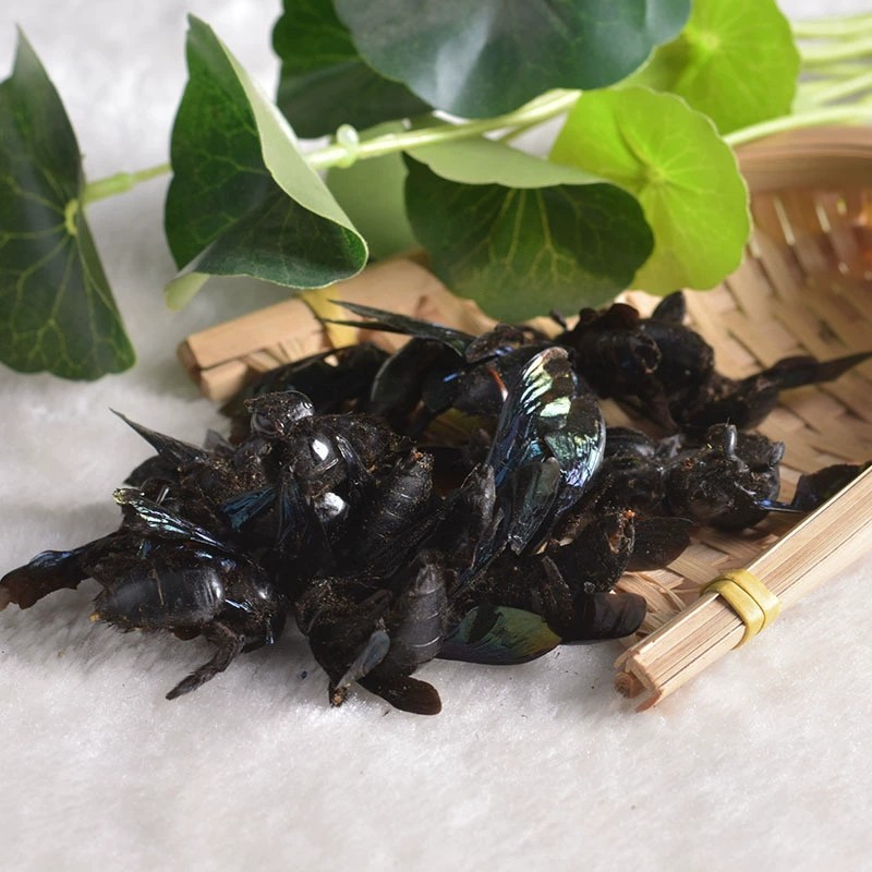 广西竹蜂大盐竹蜂乌蜜蜂竹筒蜂中药材正品咸竹蜂泡水批发-阿里巴巴