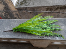 仿真大鹿角草/蝙蝠蕨/热带雨林植物 墙上装饰花草-阿里巴巴