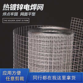 定制不锈钢焊接网外墙保温铁丝网养殖热镀锌电焊网抹灰镀锌电焊网