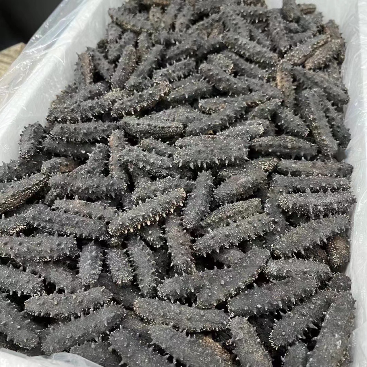 批发深海淡干辽参 大连参 辽刺参干海参泡发率高顺丰包邮-阿里巴巴