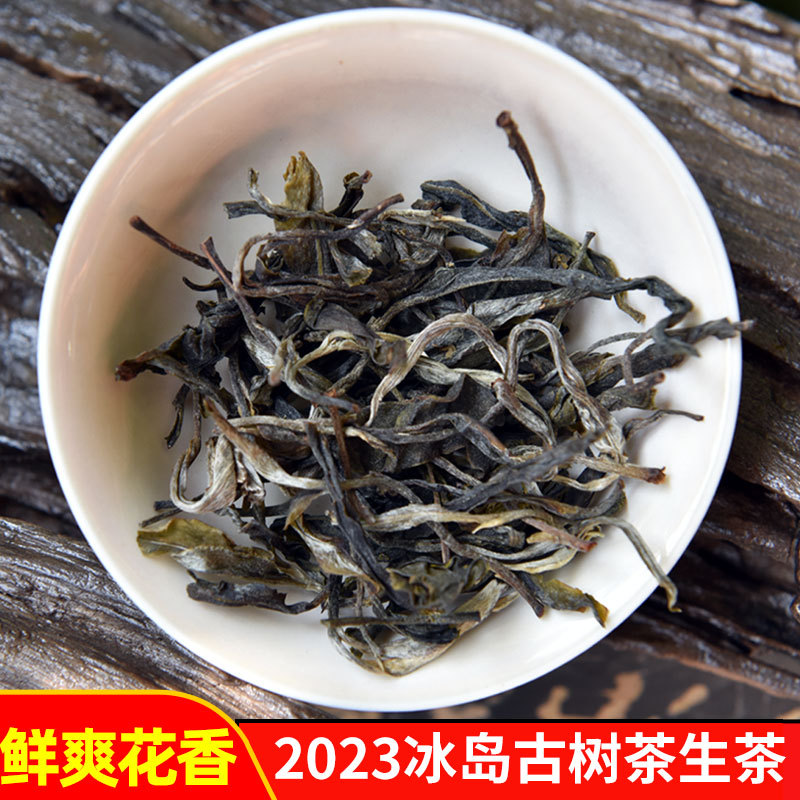 云南普洱 2023年冰岛普洱生茶散茶古树茶普洱茶生普花香浓郁鲜爽