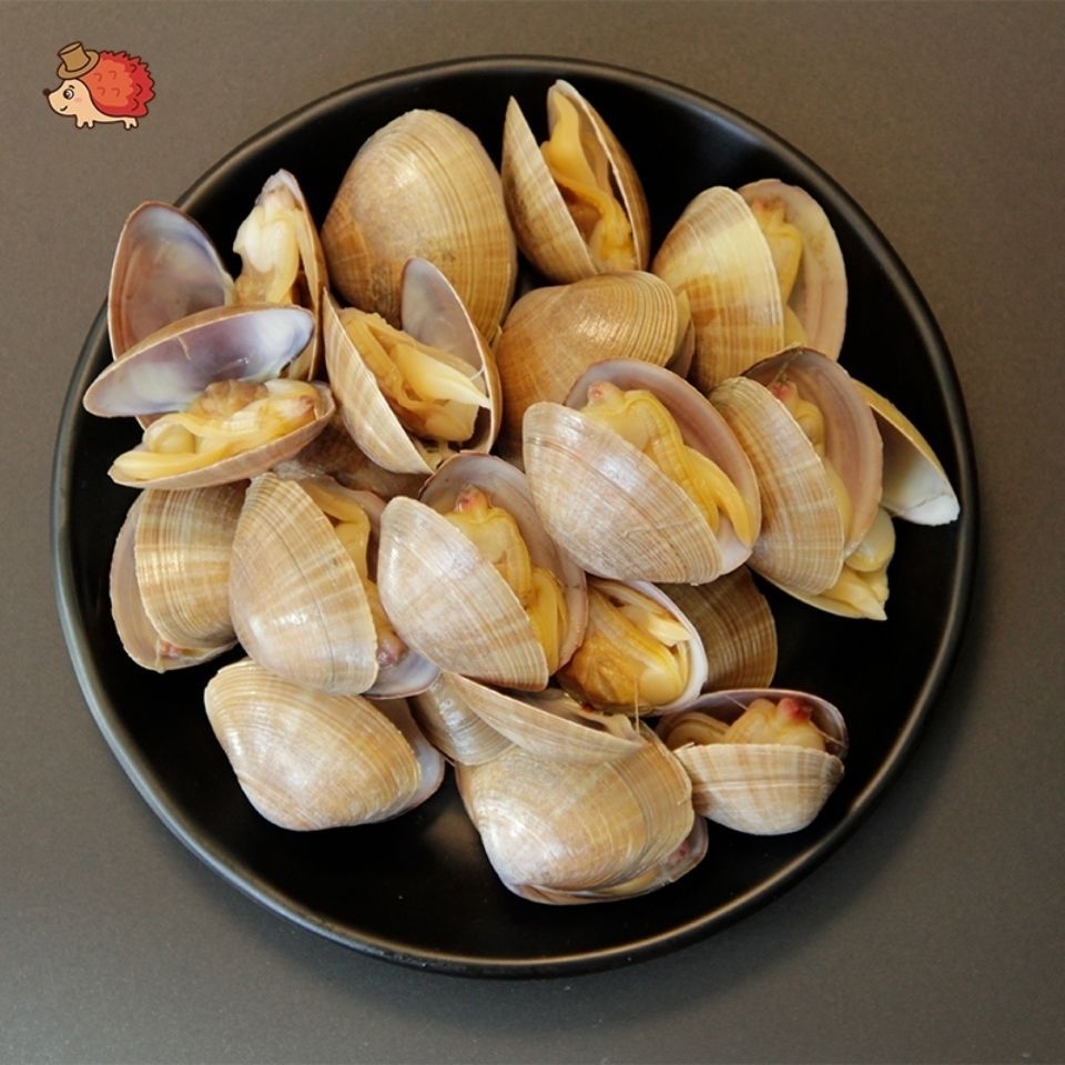 丹东大黄蚬子鲜活无沙蛤蜊海鲜贝类特产海鲜无沙水产新鲜的活蚬