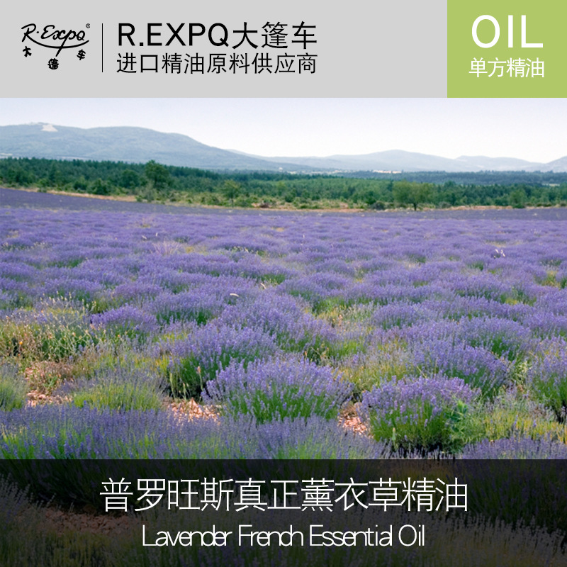 普罗旺斯真正薰衣草精油 法国原料批发 按摩开背单方精油