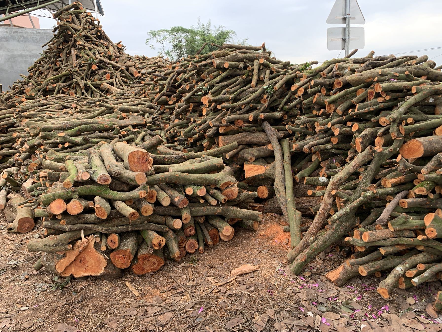 木柴柴火户外烧烤篝火野炊灶壁炉木柴客厅装饰柴荔枝木柴木头包邮