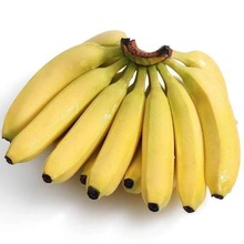 高山大香蕉10斤一件代发当季新鲜甜水果芝麻蕉香蕉批发5云南广西