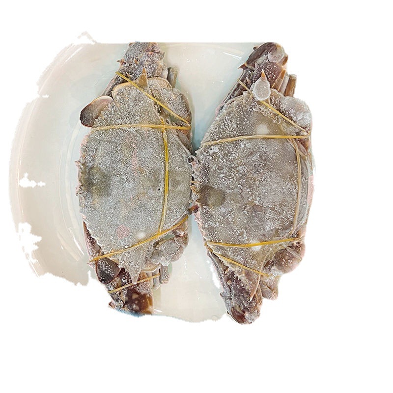 海鲜冻货批发新鲜冰冻梭子蟹鲜活速冻特大螃蟹母蟹海蟹水产可批发