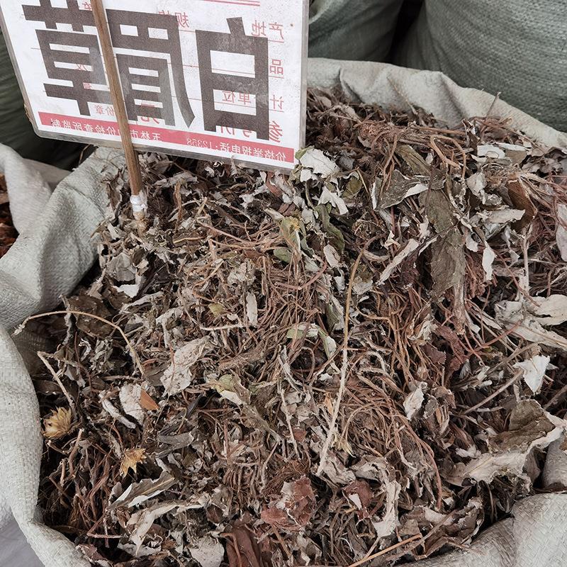 中药材杏香兔耳风兔耳草朝天一支香小一枝箭白眉一柱香扑地毛大丁