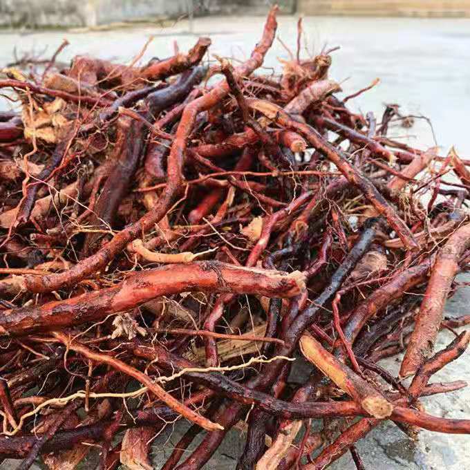 【保湿燕窝】-保湿燕窝厂家,品牌,图片,热帖-阿里巴巴