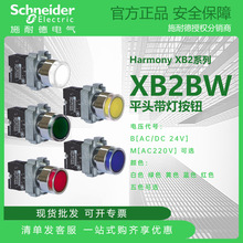 施耐德XB2系列 XB2BW平头带灯按钮 金属 24V/220V 白/绿/黄/蓝/红