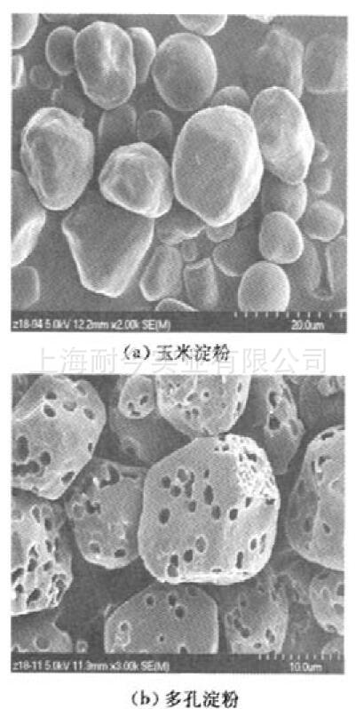多孔淀粉 99% 微孔淀粉 玉米改性淀粉 微孔直径在0.5-1.5μm