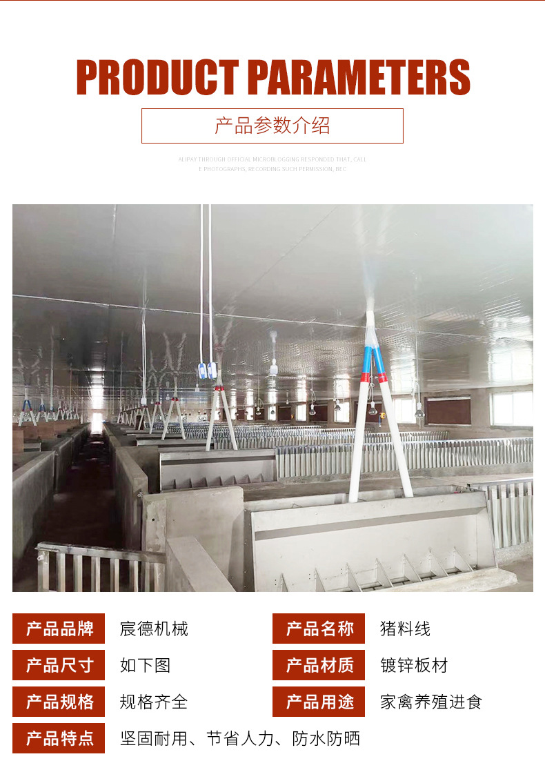 养猪自动饲喂系统 全自动养猪料线 养猪场育猪料线自动喂料机